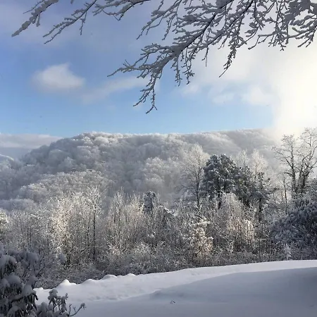 Sky High Views!!-Peak Mountaintop-Outdoor Pool-Close To Downtown-Private Balcony-Wifi-Cable Gatlinburg Extérieur photo