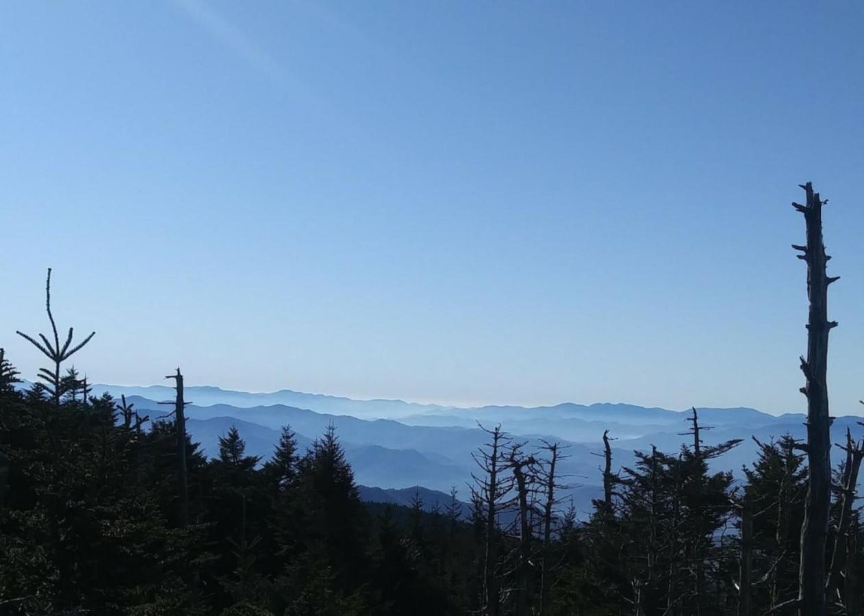 Sky High Views!!-peak Mountaintop-outdoor Pool-close To Downtown-private Balcony-wifi-cable Apartamento *